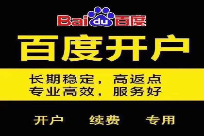 成功案例展示：百度竞价代运营助力企业品牌提升